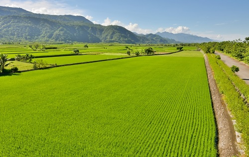 土壤養分等級分級標準，土壤養分檢測儀檢測土壤處于哪個標準