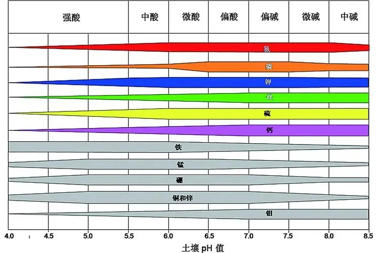 土壤酸堿性的級別有哪些？土壤酸堿度速測儀深入解析土壤pH值