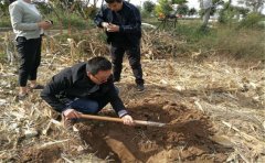 家用土壤養分檢測儀實現個人測土